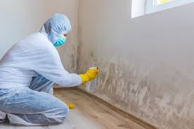 Best Mold Prevention Services  in Bassett, VA